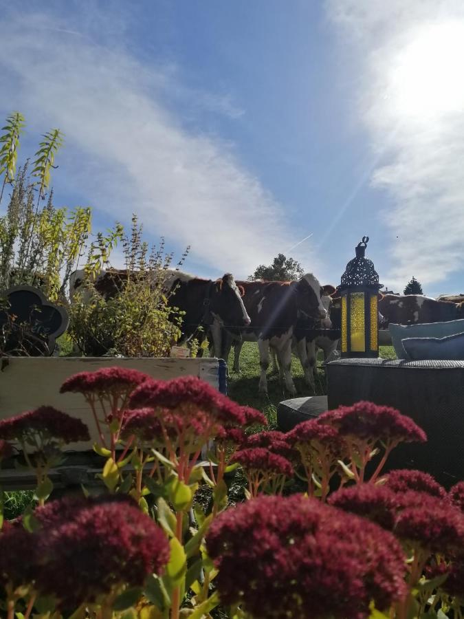 Petite Maison Sur La Colline Du Gibloux: 1Chambre,1 Salon Et Salle De Bain Prives Au Rez De Chausse, Piscine Exterieur Et Bbq , Le Châtelard-Montreux Eksteriør bilde
